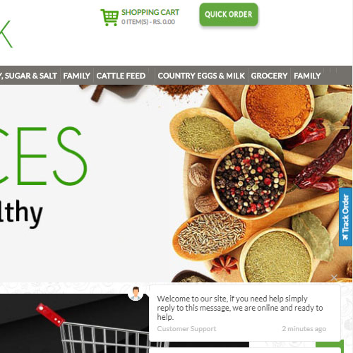 web development firm in pakistan
